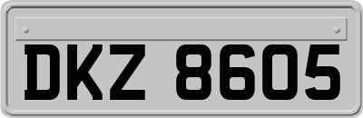 DKZ8605