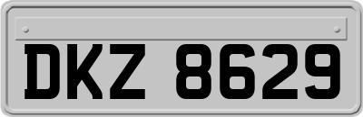 DKZ8629
