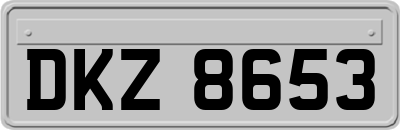 DKZ8653