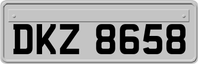DKZ8658