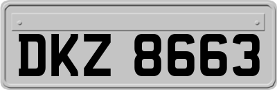DKZ8663