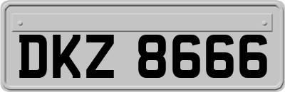 DKZ8666