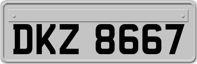 DKZ8667
