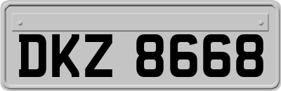 DKZ8668