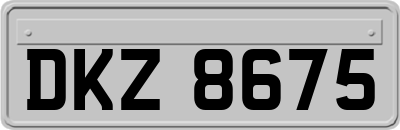 DKZ8675