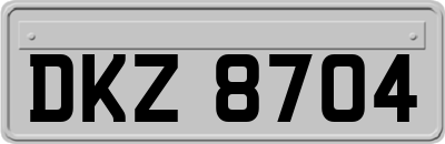 DKZ8704
