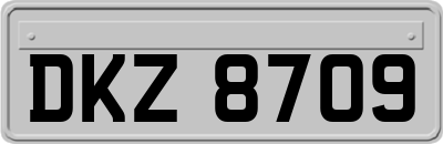 DKZ8709