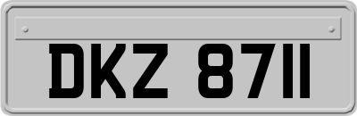 DKZ8711
