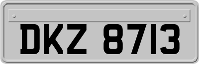 DKZ8713