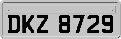 DKZ8729