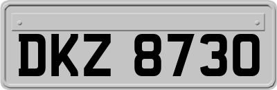 DKZ8730