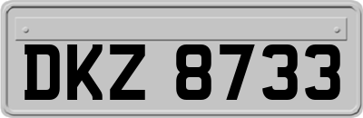 DKZ8733