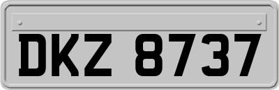DKZ8737