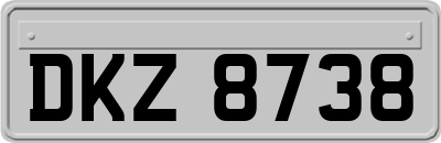 DKZ8738