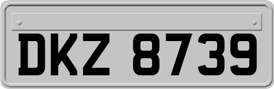 DKZ8739