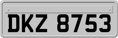 DKZ8753