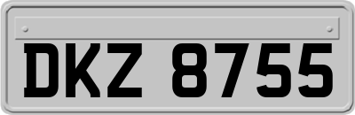 DKZ8755