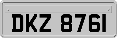 DKZ8761