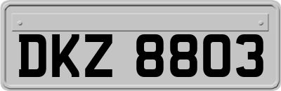 DKZ8803