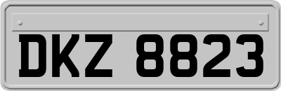 DKZ8823
