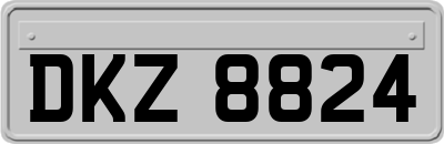 DKZ8824