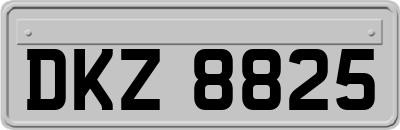 DKZ8825