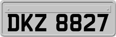 DKZ8827