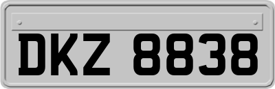 DKZ8838