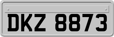 DKZ8873
