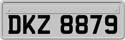 DKZ8879