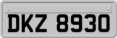 DKZ8930