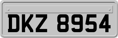 DKZ8954