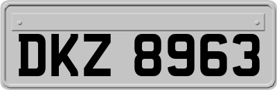 DKZ8963