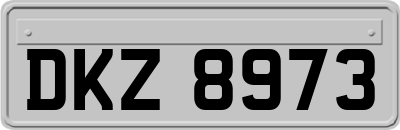 DKZ8973