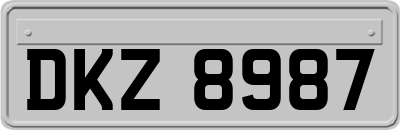 DKZ8987