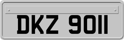 DKZ9011