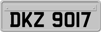 DKZ9017
