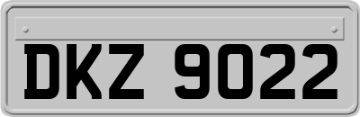 DKZ9022