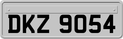 DKZ9054