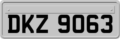 DKZ9063