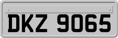 DKZ9065