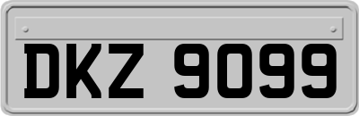 DKZ9099