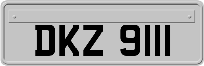 DKZ9111