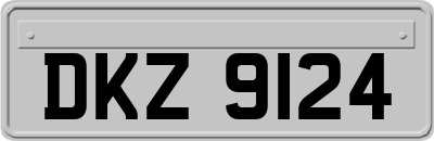 DKZ9124