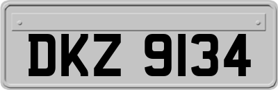 DKZ9134