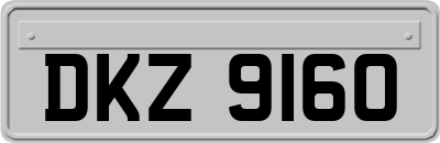 DKZ9160