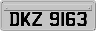 DKZ9163