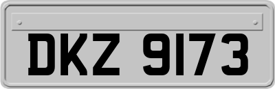 DKZ9173