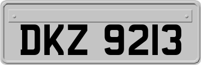 DKZ9213
