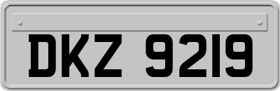 DKZ9219